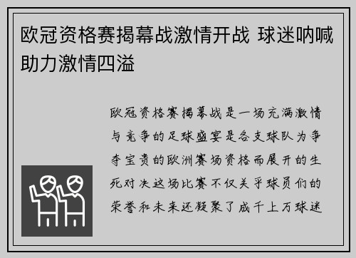 欧冠资格赛揭幕战激情开战 球迷呐喊助力激情四溢