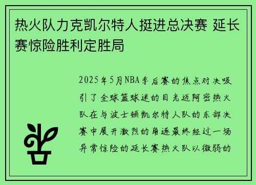 热火队力克凯尔特人挺进总决赛 延长赛惊险胜利定胜局