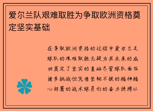 爱尔兰队艰难取胜为争取欧洲资格奠定坚实基础